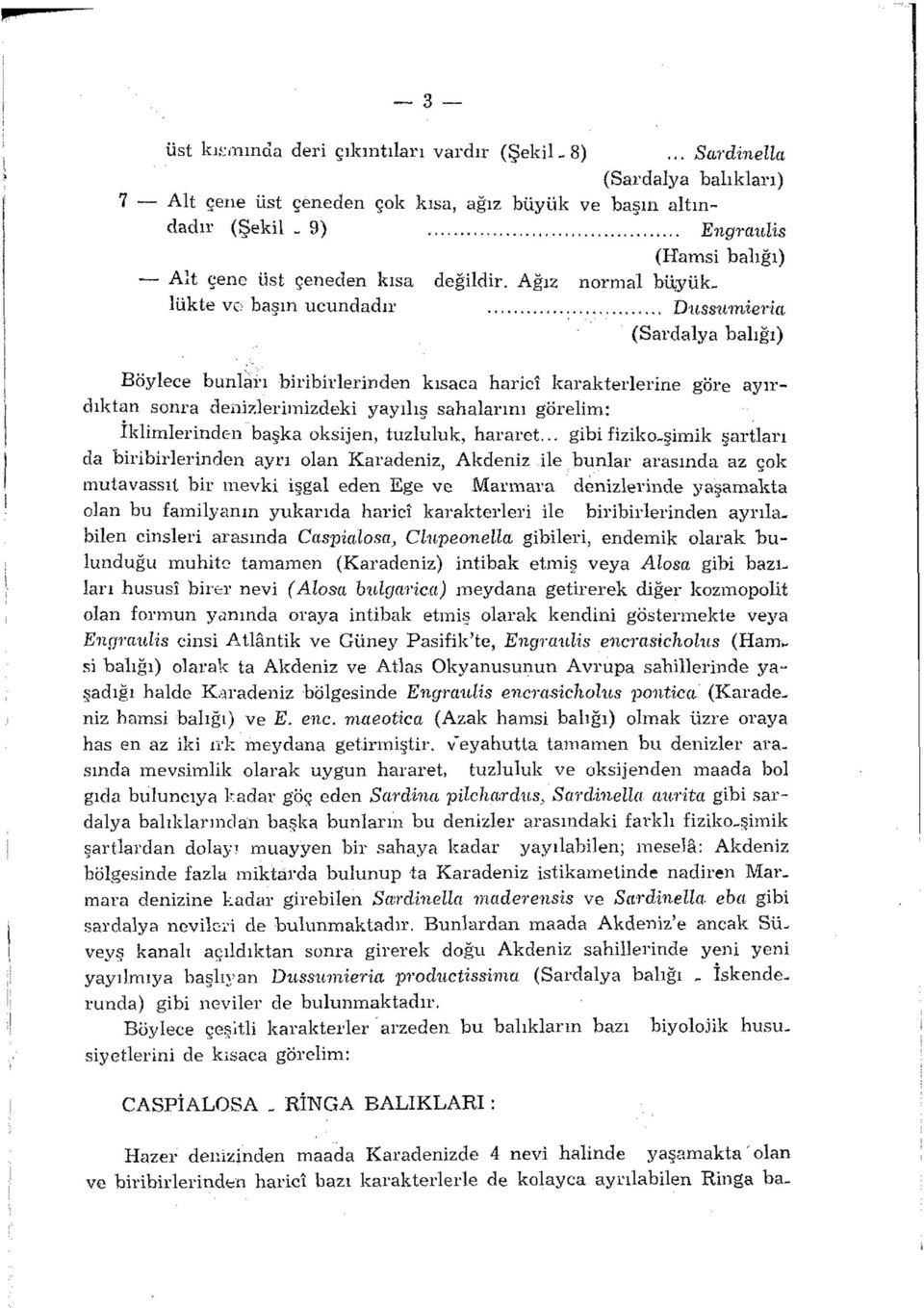 Ağız normal büjyüklükte ve başın ucundadır Dussumieria (Sardalya balığı) Böylece bunları biribirlerinden kısaca haricî karakterlerine göre ayırdıktan sonra denizlerimizdeki yayılış sahalarını