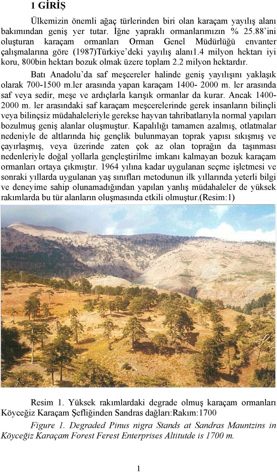 2 milyon hektardır. Batı Anadolu da saf meşcereler halinde geniş yayılışını yaklaşık olarak 700-1500 m.ler arasında yapan karaçam 1400-2000 m.