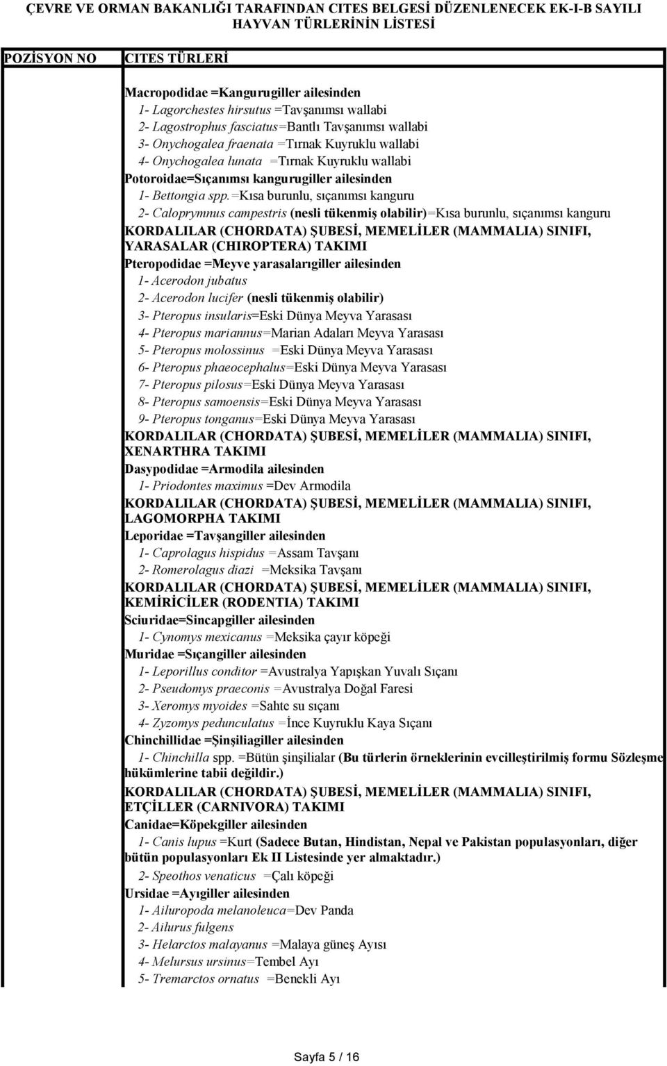 =kısa burunlu, sıçanımsı kanguru 2- Caloprymnus campestris (nesli tükenmiş olabilir)=kısa burunlu, sıçanımsı kanguru YARASALAR (CHIROPTERA) TAKIMI Pteropodidae =Meyve yarasalarıgiller ailesinden 1-