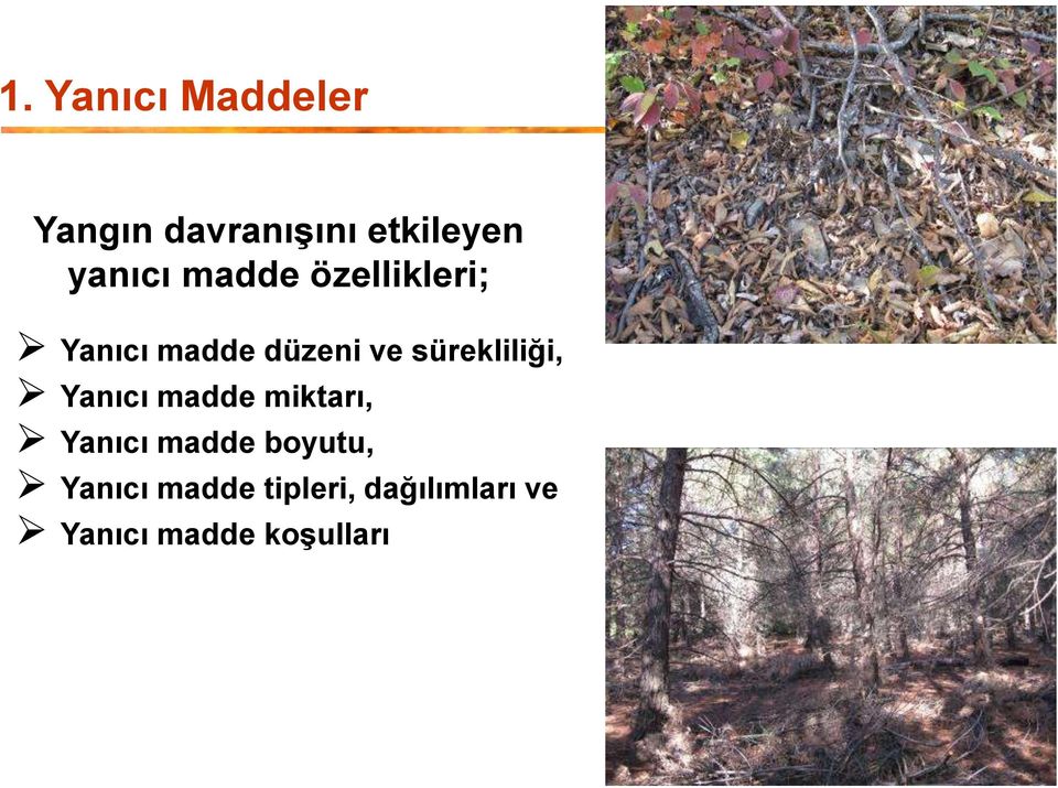 sürekliliği, Yanıcı madde miktarı, Yanıcı madde