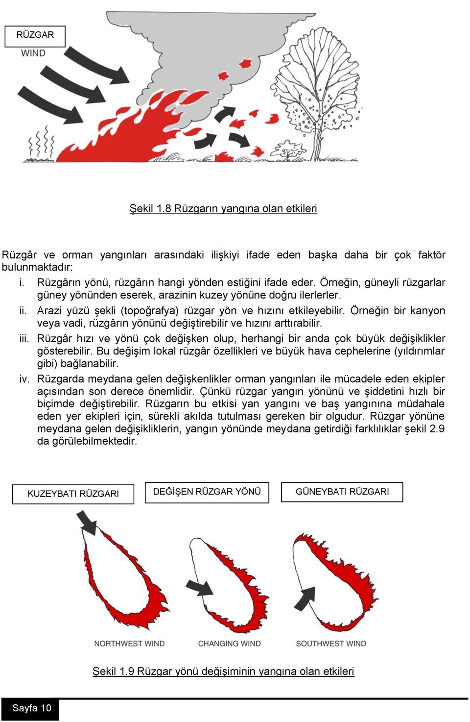 Arazi yüzü şekli (topoğrafya) rüzgar yön ve hızını etkileyebilir. Örneğin bir kanyon veya vadi, rüzgârın yönünü değiştirebilir ve hızını arttırabilir. iii.