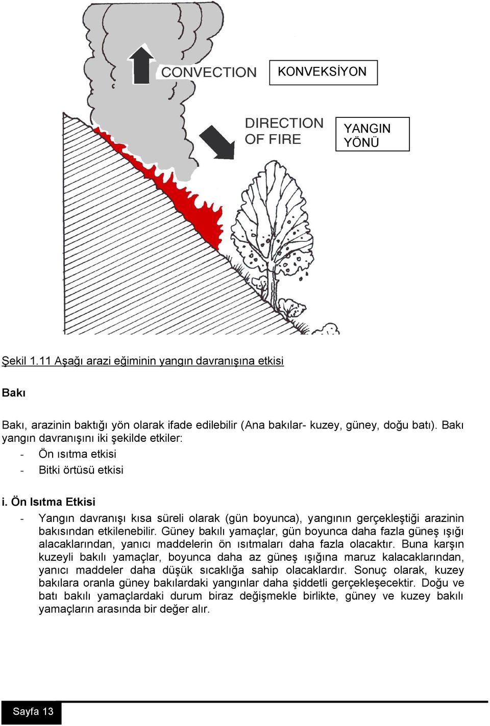 Ön Isıtma Etkisi - Yangın davranışı kısa süreli olarak (gün boyunca), yangının gerçekleştiği arazinin bakısından etkilenebilir.