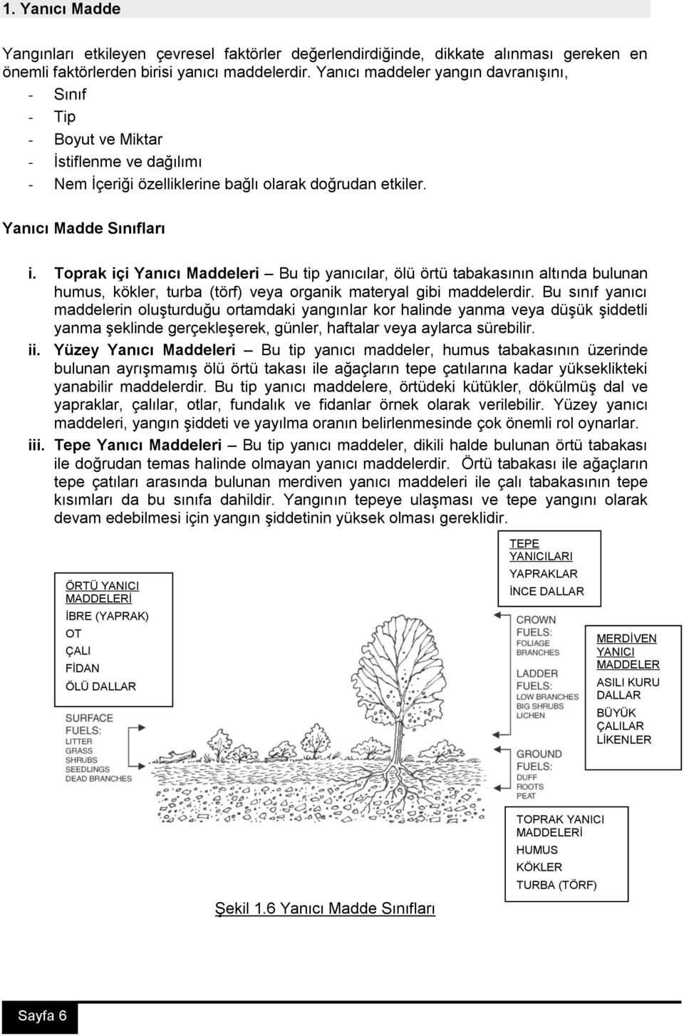 Toprak içi Yanıcı Maddeleri Bu tip yanıcılar, ölü örtü tabakasının altında bulunan humus, kökler, turba (törf) veya organik materyal gibi maddelerdir.