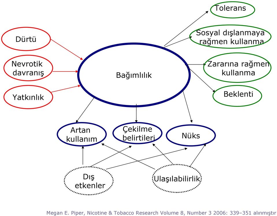 Çekilme belirtileri Nüks Dış etkenler Ulaşılabilirlik Megan E.