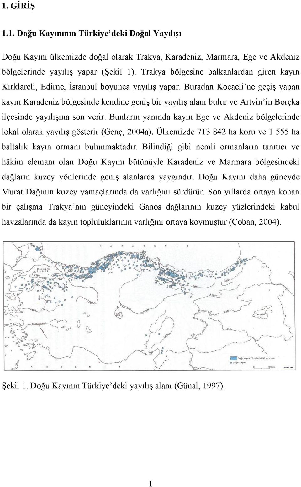 Buradan Kocaeli ne geçiģ yapan kayın Karadeniz bölgesinde kendine geniģ bir yayılıģ alanı bulur ve Artvin in Borçka ilçesinde yayılıģına son verir.