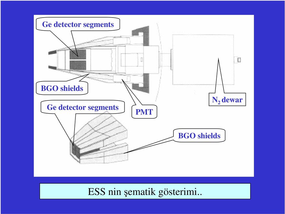 segments PMT N 2 dewar BGO