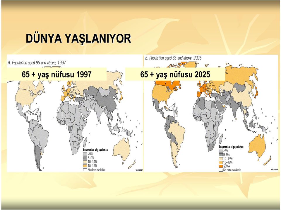 + yaş nüfusu