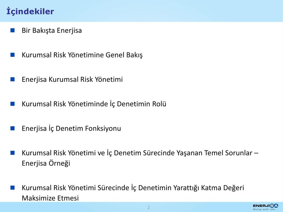 Fonksiyonu Kurumsal Risk Yönetimi ve İç Denetim Sürecinde Yaşanan Temel Sorunlar