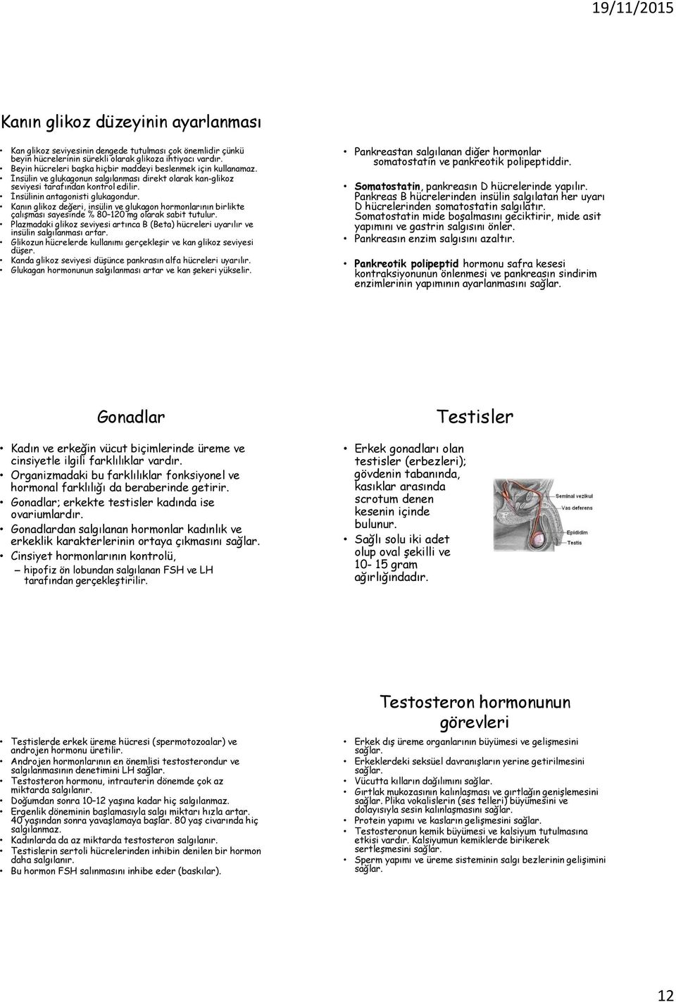 Kanın glikoz değeri, insülin ve glukagon hormonlarının birlikte çalışması sayesinde % 80 120 mg olarak sabit tutulur.