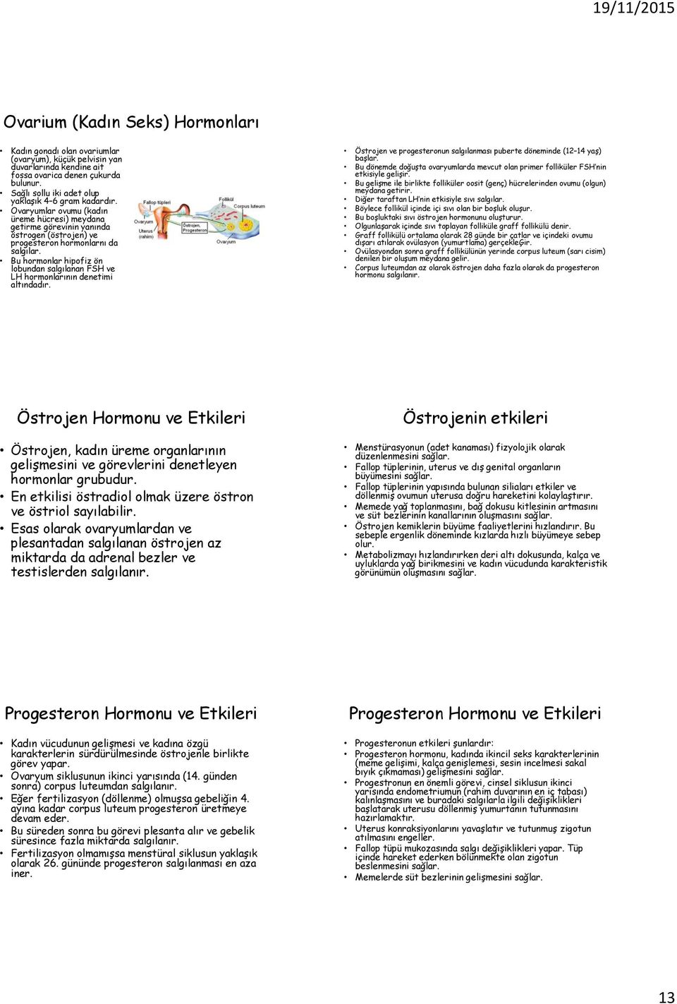 Bu hormonlar hipofiz ön lobundan salgılanan FSH ve LH hormonlarının denetimi altındadır. Östrojen ve progesteronun salgılanması puberte döneminde (12 14 yaş) başlar.