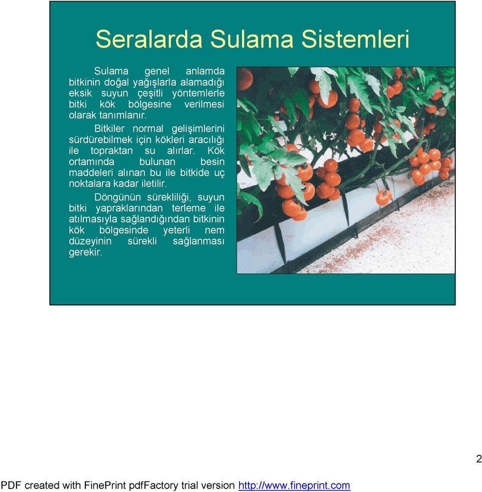 Bitkiler normal gelişimlerini sürdürebilmek için kökleri aracılığı ile topraktan su alırlar.