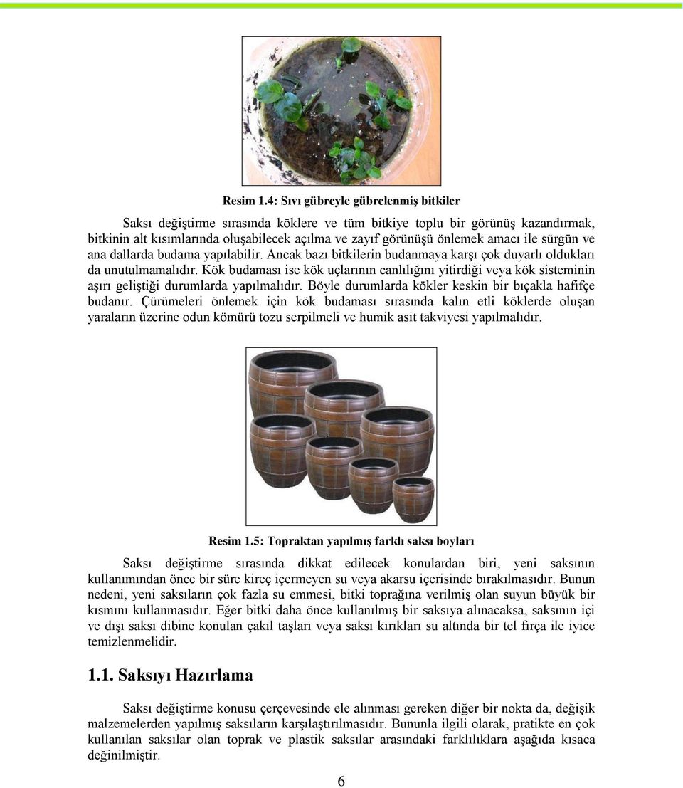 ile sürgün ve ana dallarda budama yapılabilir. Ancak bazı bitkilerin budanmaya karşı çok duyarlı oldukları da unutulmamalıdır.