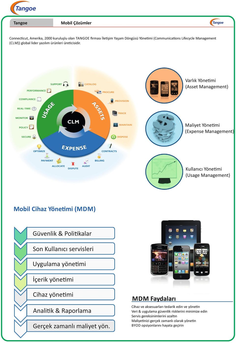 Varlık Yöne mi (Asset Management) Maliyet Yöne mi (Expense Management) Kullanıcı Yöne mi (Usage Management) Mobil Cihaz Yöne mi (MDM) Güvenlik & Poli kalar Son Kullanıcı