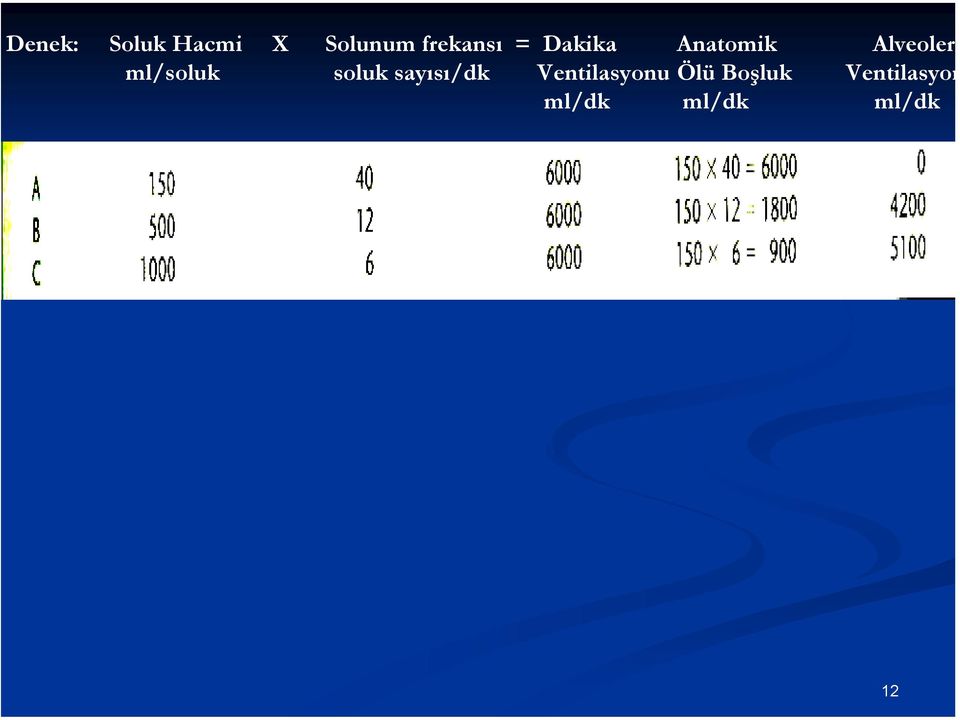 sayısı/dk Ventilasyonu ml/dk