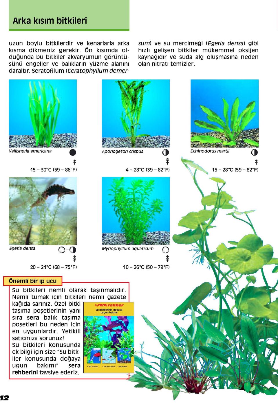 Vallisneria americana Aponogeton crispus Echinodorus martii 15 30 C (59 86 F) 4 28 C (39 82 F) 15 28 C (59 82 F) Egeria densa Myriophyllum aquaticum 20 24 C (68 75 F) 10 26 C (50 79 F) Önemli bir ip