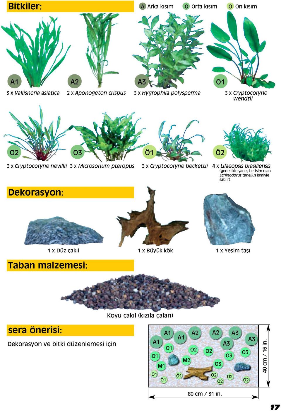 yanlı bir isim olan Echinodorus tenellus ismiyle satılır) 1 x Düz Áakıl Taban malzemesi: 1 x Büyük kök 1 x Ye im ta ı Koyu Áakıl (kızıla Áalan) sera