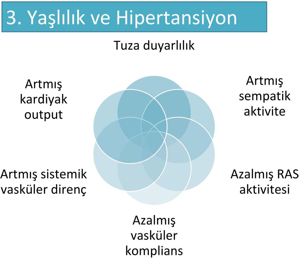 sempatik aktivite Artmış sistemik vasküler