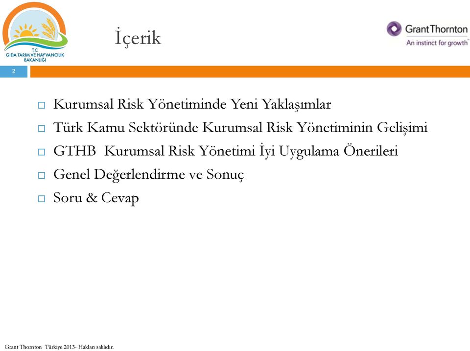 Yönetiminin Gelişimi GTHB Kurumsal Risk Yönetimi