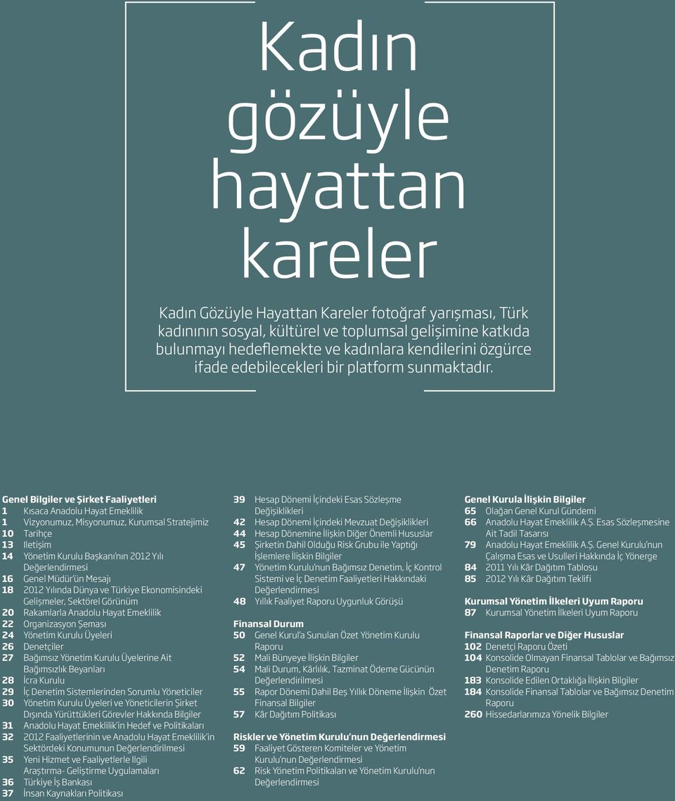 Genel Bilgiler ve Şirket Faaliyetleri 1 Kısaca Anadolu Hayat Emeklilik 1 Vizyonumuz, Misyonumuz, Kurumsal Stratejimiz 10 Tarihçe 13 Iletişim 14 Yönetim Kurulu Başkanı nın 2012 Yılı Değerlendirmesi 16