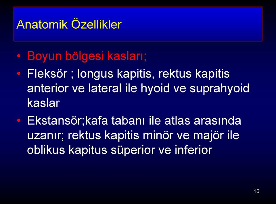 suprahyoid kaslar Ekstansör;kafa tabanı ile atlas arasında