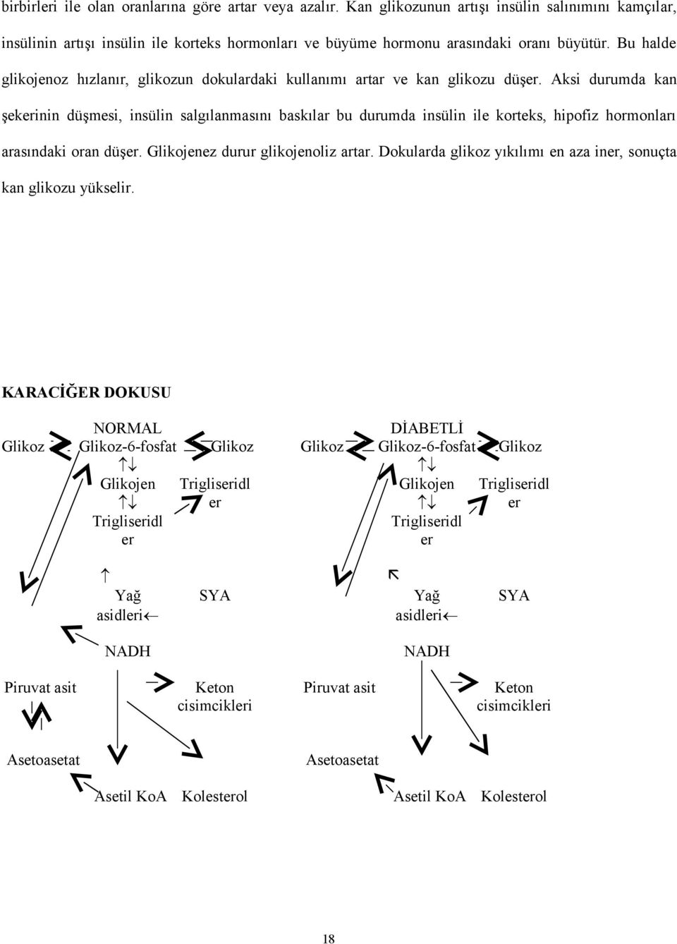 Aksi durumda kan şekerinin düşmesi, insülin salgılanmasını baskılar bu durumda insülin ile korteks, hipofiz hormonları arasındaki oran düşer. Glikojenez durur glikojenoliz artar.