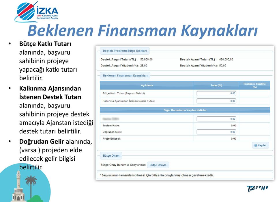 Kalkınma Ajansından İstenen Destek Tutarı alanında, başvuru sahibinin projeye destek