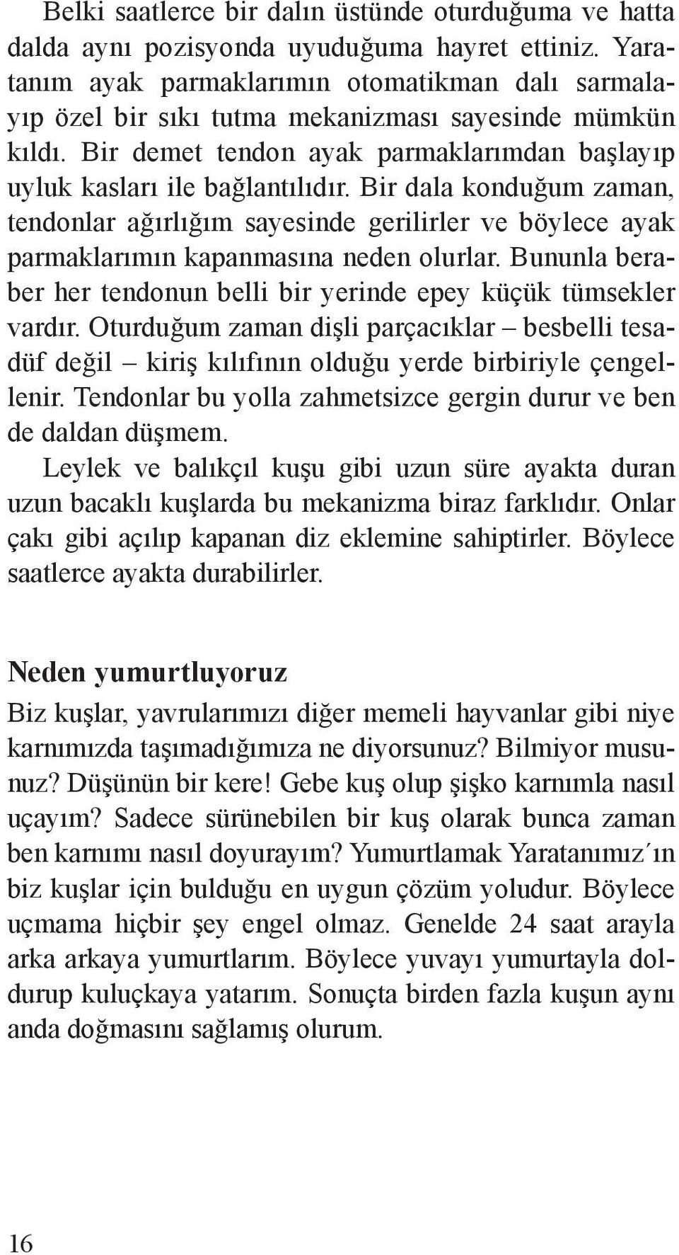 Bir dala konduğum zaman, tendon lar ağırlığım sayesinde gerilirler ve böylece ayak parmaklarımın kapanmasına neden olurlar. Bununla beraber her tendonun belli bir yerinde epey küçük tümsekler vardır.