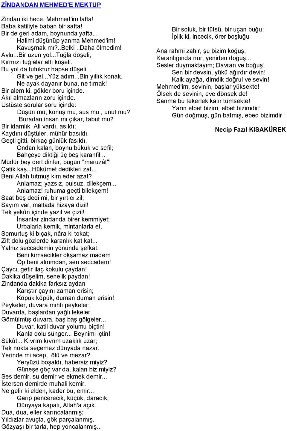 Bir alem ki, gökler boru içinde. Akıl almazların zoru içinde. Üstüste sorular soru içinde: Düşün mü, konuş mu, sus mu, unut mu? Buradan insan mı çıkar, tabut mu?