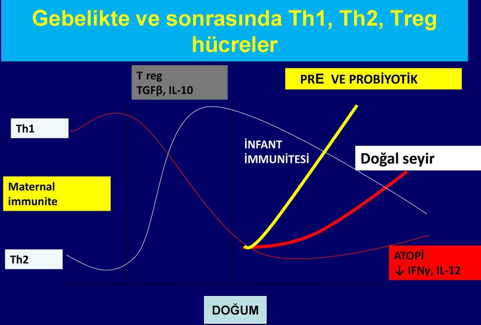 PROBİYOTİK Th1 Maternal immunite İNFANT