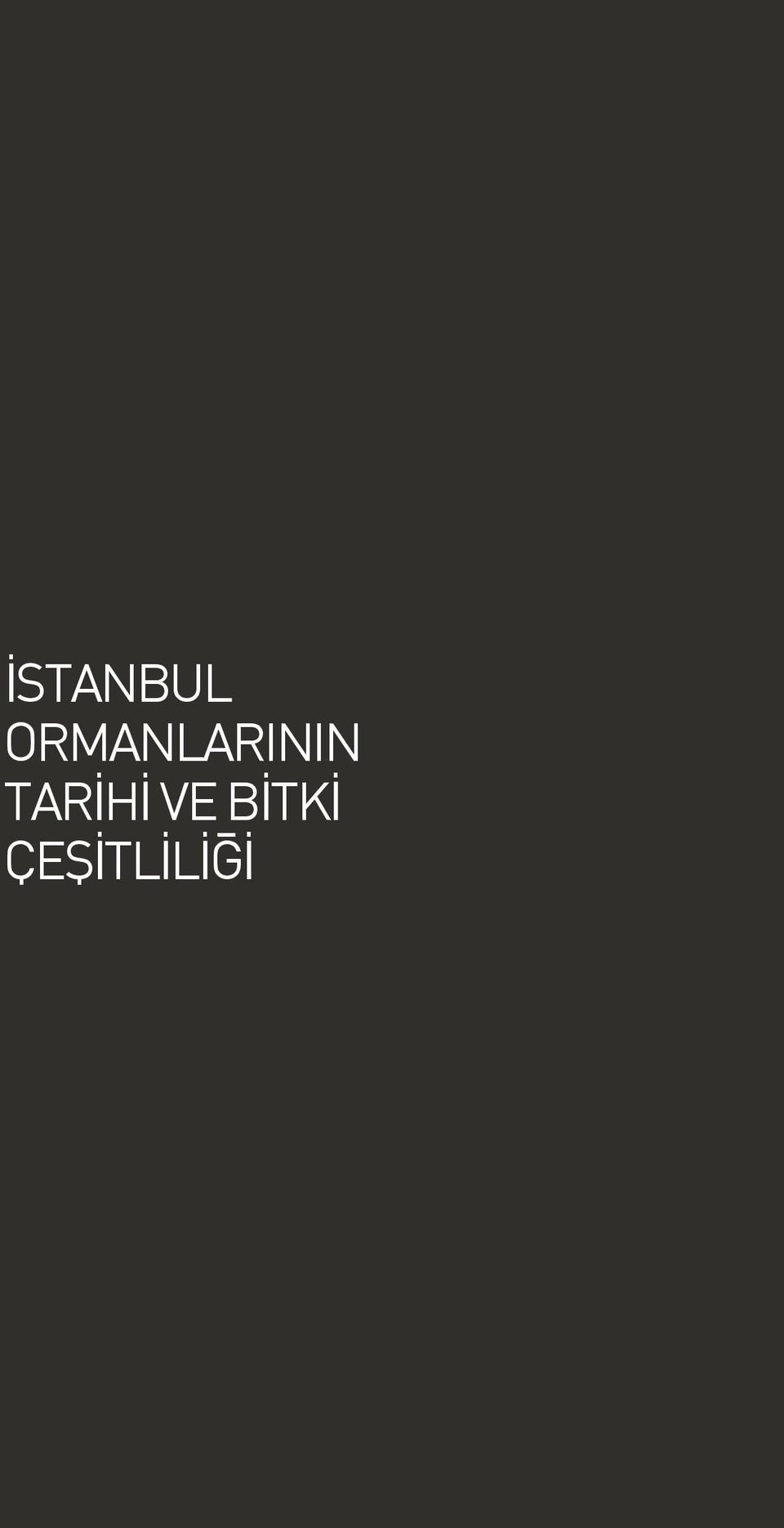 ÇEŞİTLİLİĞİ 10 İstanbul
