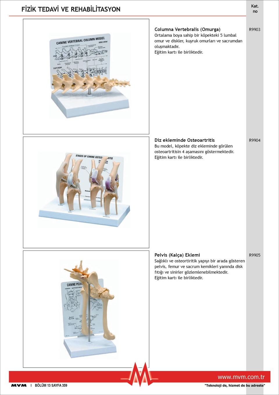 Diz ekleminde Osteoartritis R9904 Bu model, köpekte diz ekleminde görülen osteoartritisin 4 aşamasını göstermektedir.