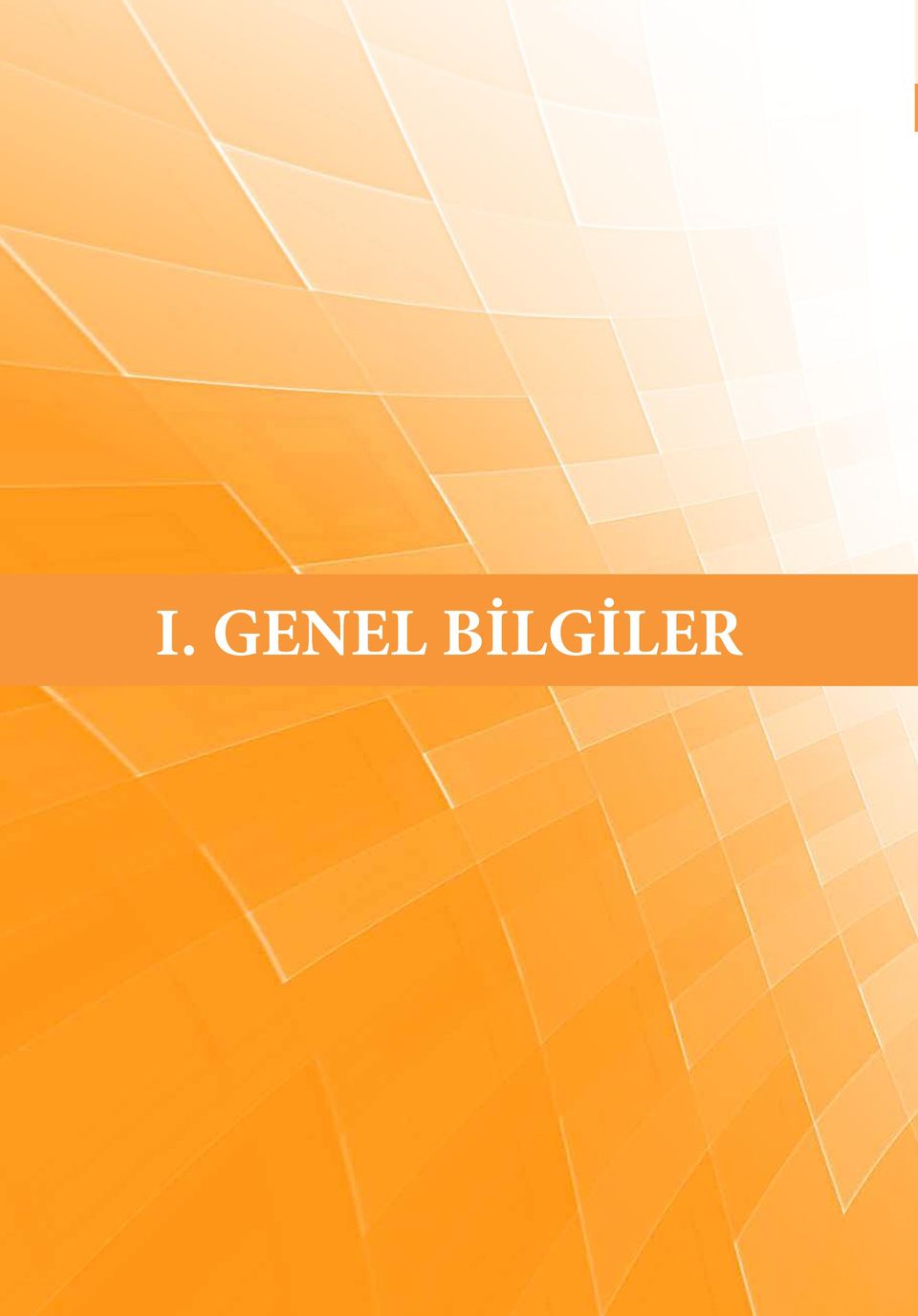 BİLGİLER