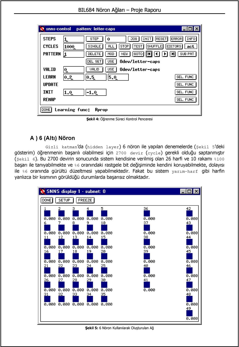 Bu 2700 devirin sonucunda sistem kendisine verilmiş olan 26 harfi ve 10 rakamı %100 başarı ile tanıyabilmekte ve %6 oranındaki rastgele bit değişiminde