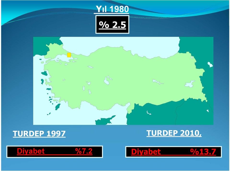 TURDEP 2010,