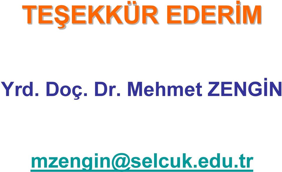Mehmet ZENGİN