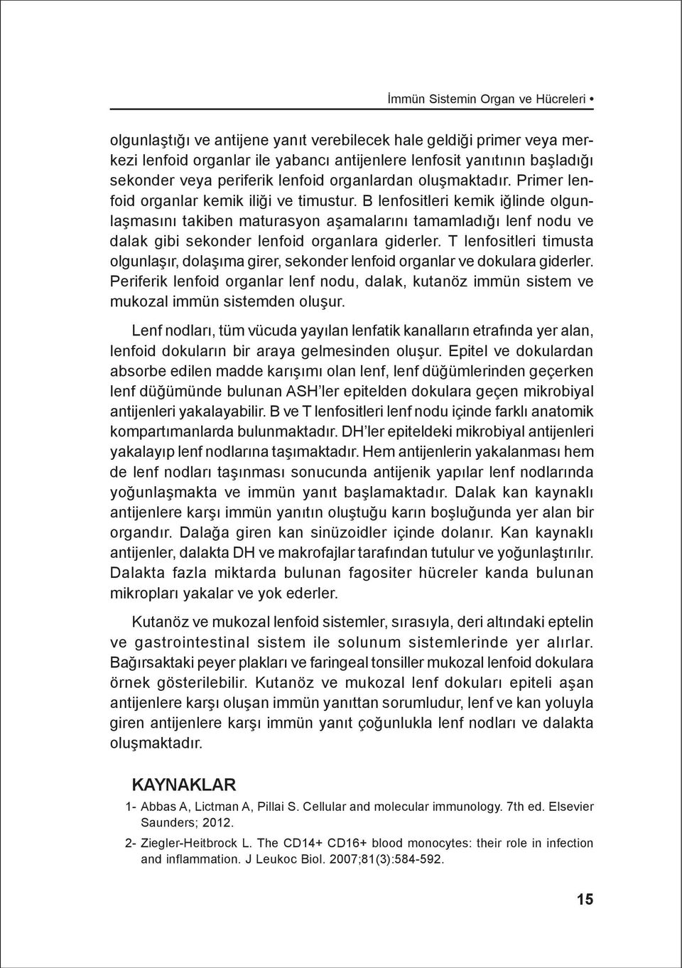 B lenfositleri kemik iðlinde olgunlaþmasýný takiben maturasyon aþamalarýný tamamladýðý lenf nodu ve dalak gibi sekonder lenfoid organlara giderler.