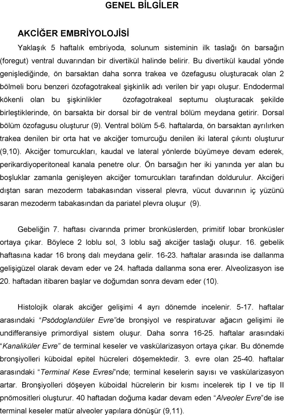 Endodermal kökenli olan bu şişkinlikler özofagotrakeal septumu oluşturacak şekilde birleştiklerinde, ön barsakta bir dorsal bir de ventral bölüm meydana getirir. Dorsal bölüm özofagusu oluşturur (9).