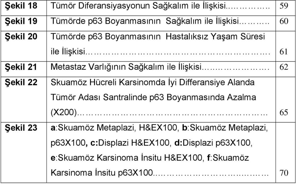 .. 62 Şekil 22 Skuamöz Hücreli Karsinomda İyi Differansiye Alanda Tümör Adası Santralinde p63 Boyanmasında Azalma (X200) 65 Şekil 23