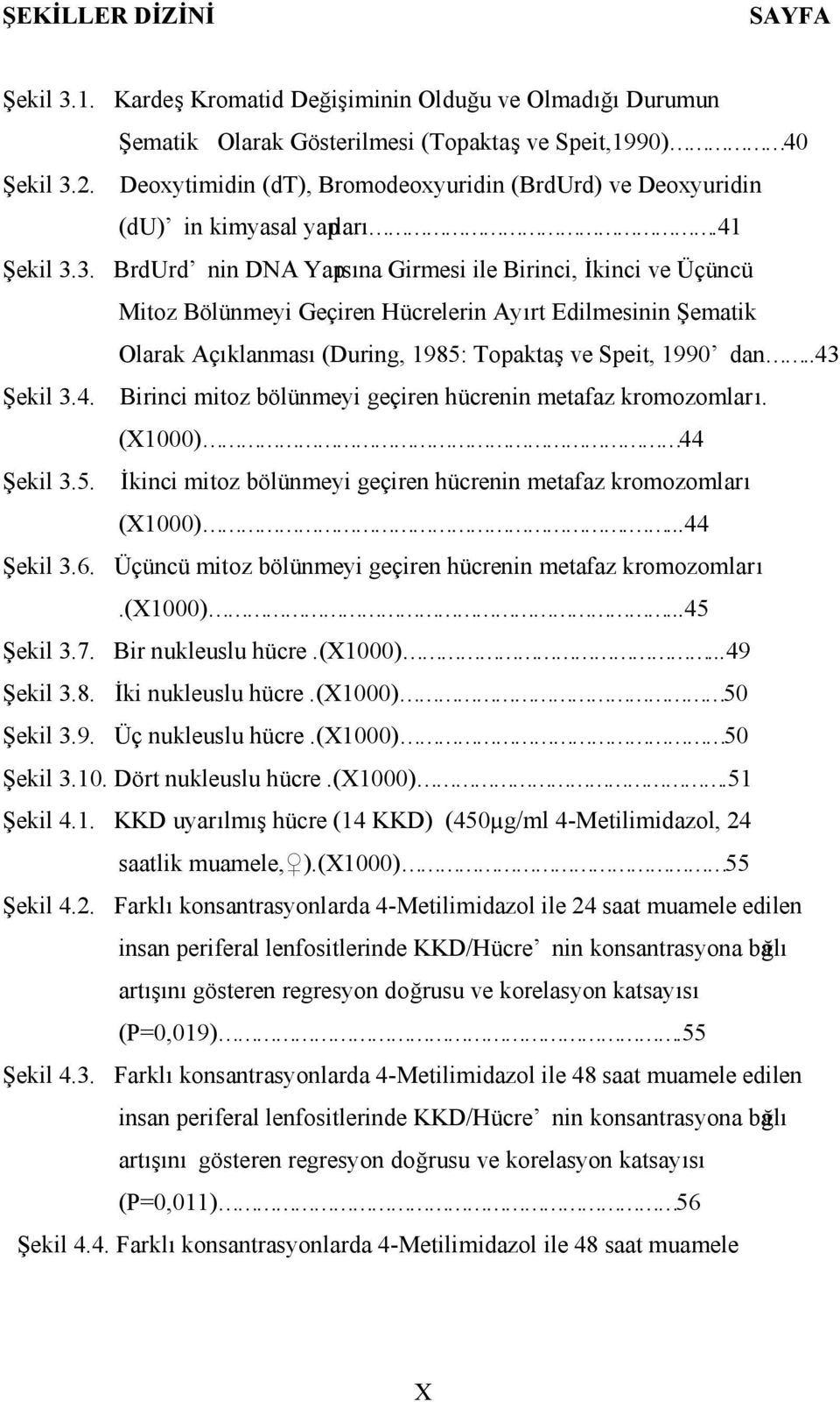 3. BrdUrd nin DNA Yapısına Girmesi ile Birinci, İkinci ve Üçüncü Mitoz Bölünmeyi Geçiren Hücrelerin Ayırt Edilmesinin Şematik Olarak Açıklanması (During, 1985: Topaktaş ve Speit, 1990 dan..43 Şekil 3.