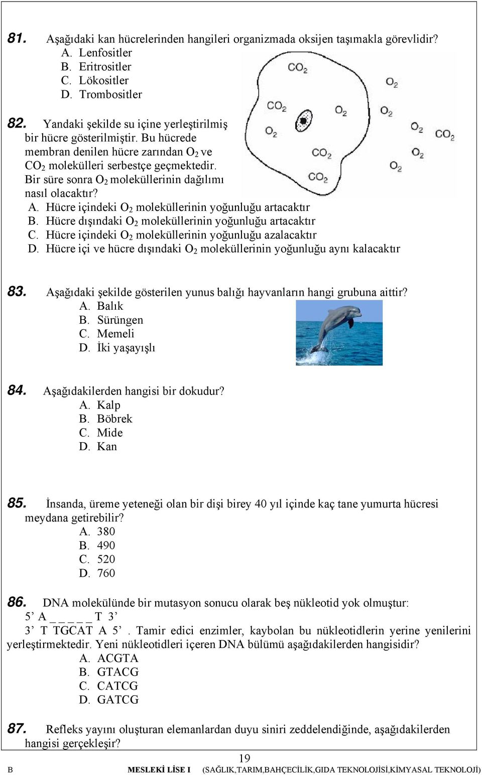 Bir süre sonra O moleküllerinin dağılımı nasıl olacaktır? A. Hücre içindeki O moleküllerinin yoğunluğu artacaktır B. Hücre dışındaki O moleküllerinin yoğunluğu artacaktır C.