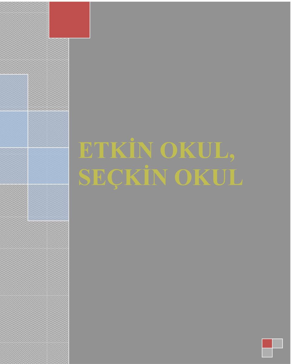 ETKİN OKUL, SEÇKİN OKUL GAZİ İLKOKULU