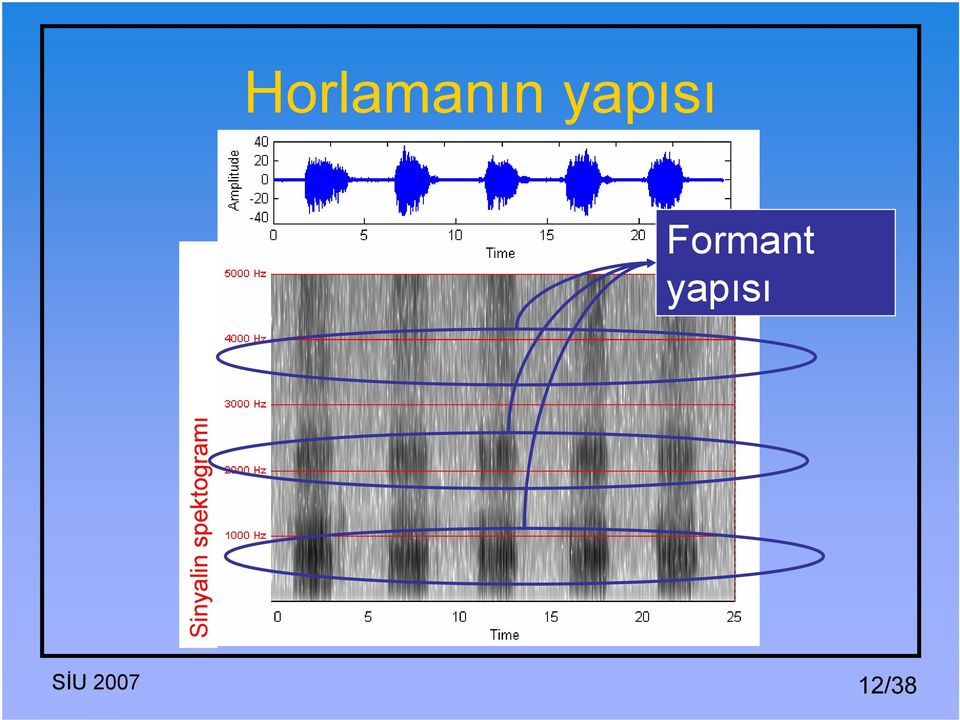 yapısı Sinyalin