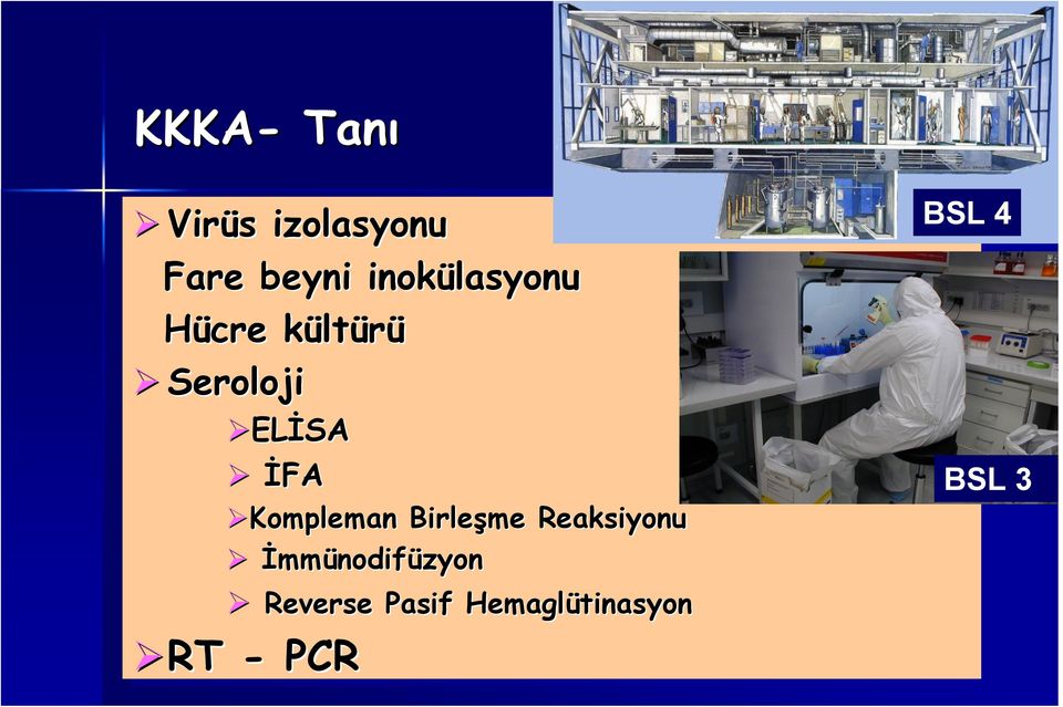 İFA Kompleman Birleşme Reaksiyonu