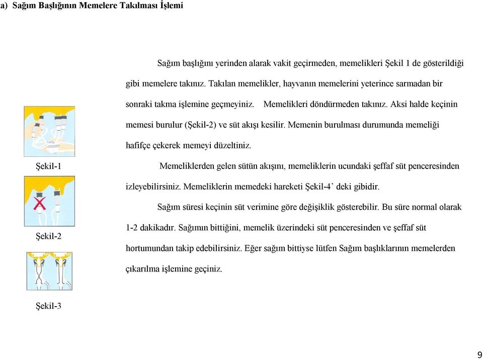 Memenin burulması durumunda memeliği hafifçe çekerek memeyi düzeltiniz. Şekil-1 Memeliklerden gelen sütün akışını, memeliklerin ucundaki şeffaf süt penceresinden izleyebilirsiniz.