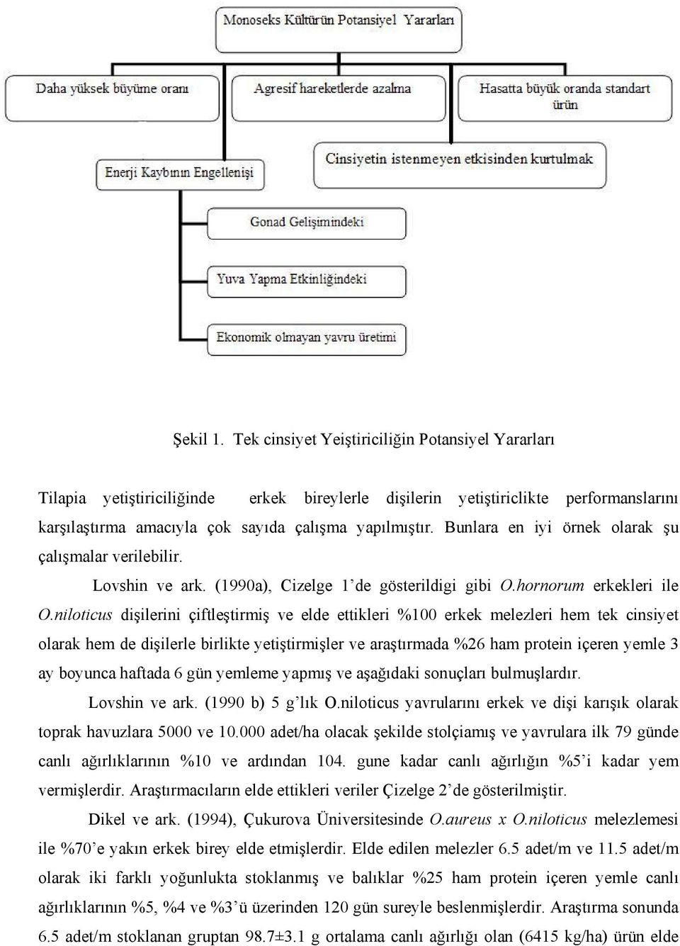 niloticus dişilerini çiftleştirmiş ve elde ettikleri %100 erkek melezleri hem tek cinsiyet olarak hem de dişilerle birlikte yetiştirmişler ve araştırmada %26 ham protein içeren yemle 3 ay boyunca