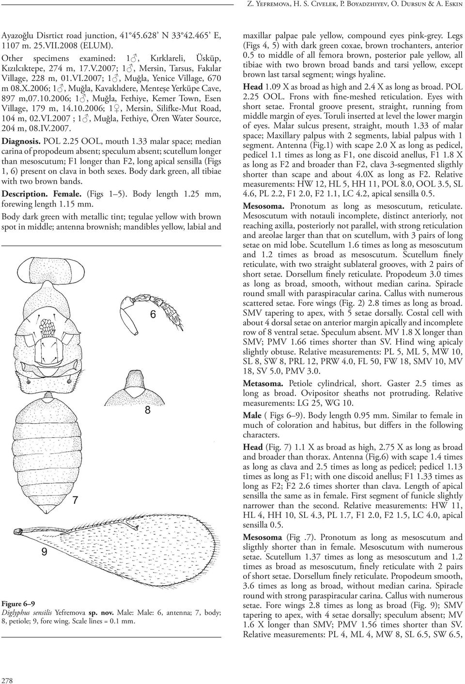 2006; 1, Muğla, Kavaklıdere, Menteşe Yerküpe Cave, 897 m,07.10.2006; 1, Muğla, Fethiye, Kemer Town, Esen Village, 179 m, 14.10.2006; 1, Mersin, Silifke-Mut Road, 104 m, 02.VI.