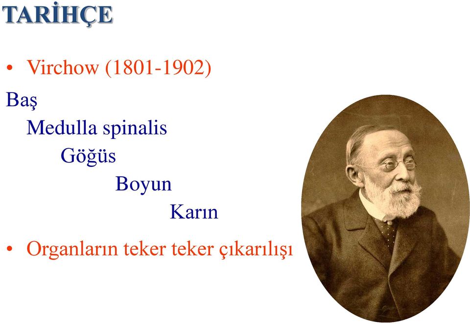 spinalis Göğüs Boyun