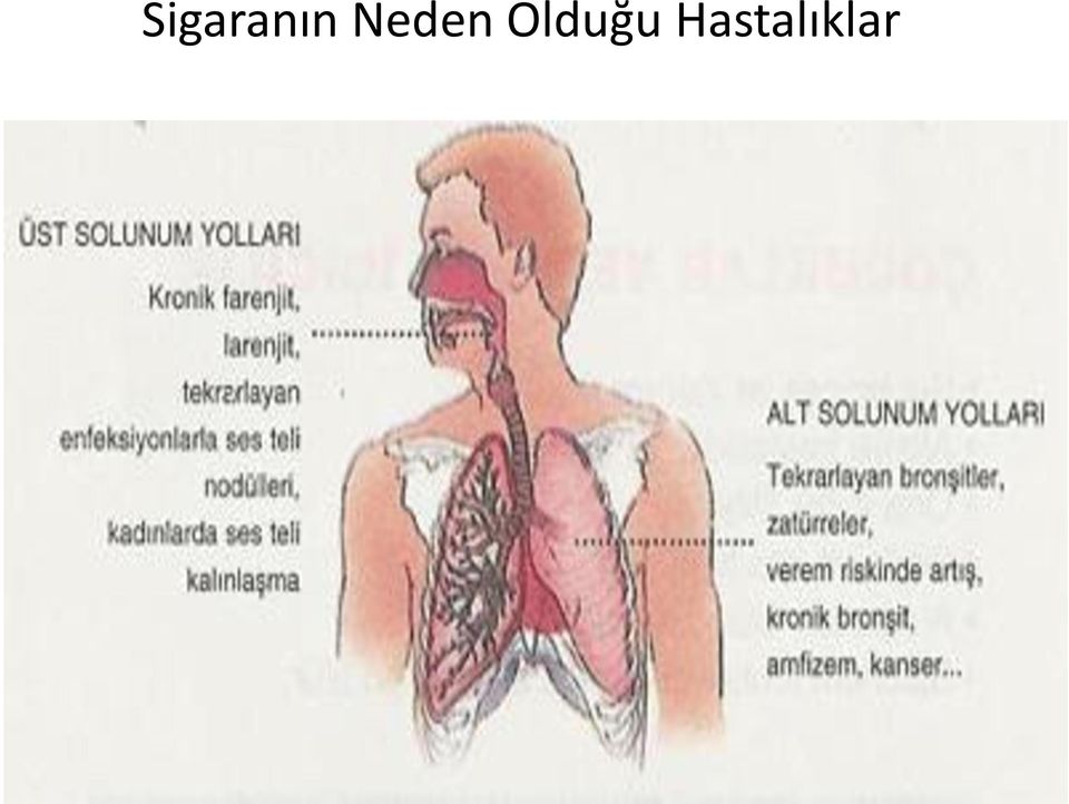 Olduğu