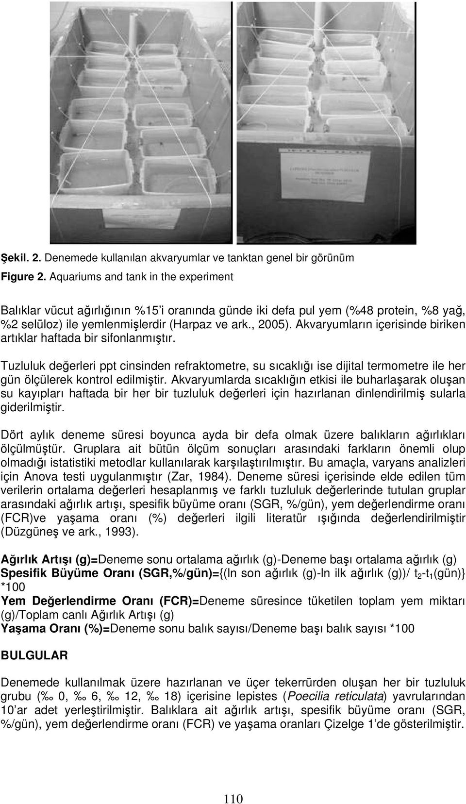 Akvaryumların içerisinde biriken artıklar haftada bir sifonlanmıştır. Tuzluluk değerleri ppt cinsinden refraktometre, su sıcaklığı ise dijital termometre ile her gün ölçülerek kontrol edilmiştir.