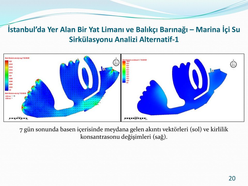 Alternatif-1 7 gün sonunda basen içerisinde meydana